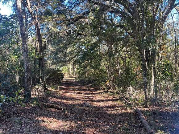 20 Acres of Land for Sale in Alachua, Florida