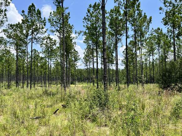 16.94 Acres of Land for Sale in Milton, Florida