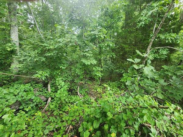 0.4 Acres of Land for Sale in Holladay, Tennessee