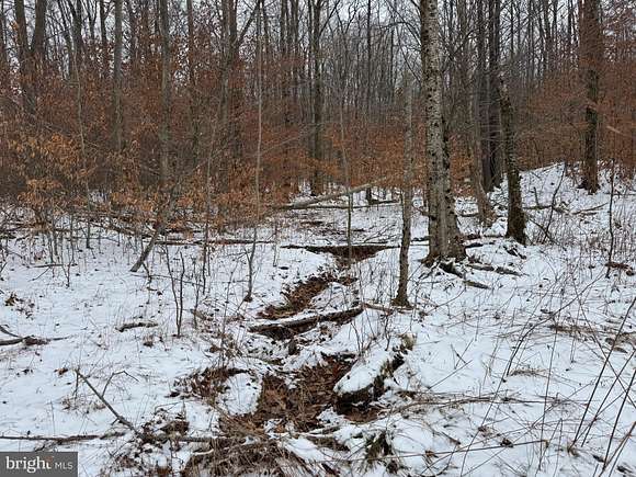 28.83 Acres of Recreational Land for Sale in Mount Storm, West Virginia