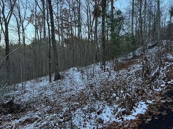 2.48 Acres of Residential Land for Sale in Sevierville, Tennessee