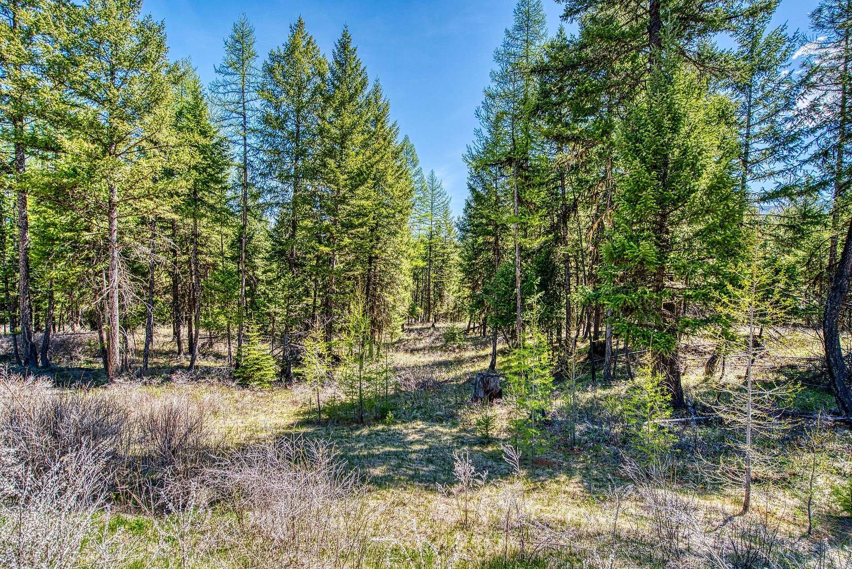 5.318 Acres of Residential Land for Sale in Kila, Montana