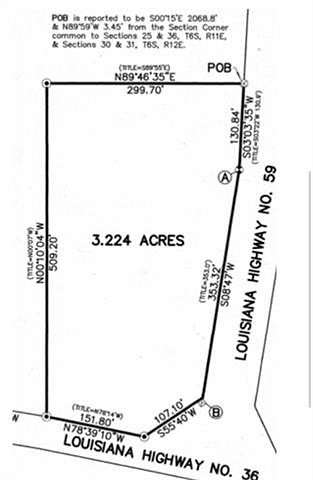 3.224 Acres of Commercial Land for Sale in Abita Springs, Louisiana