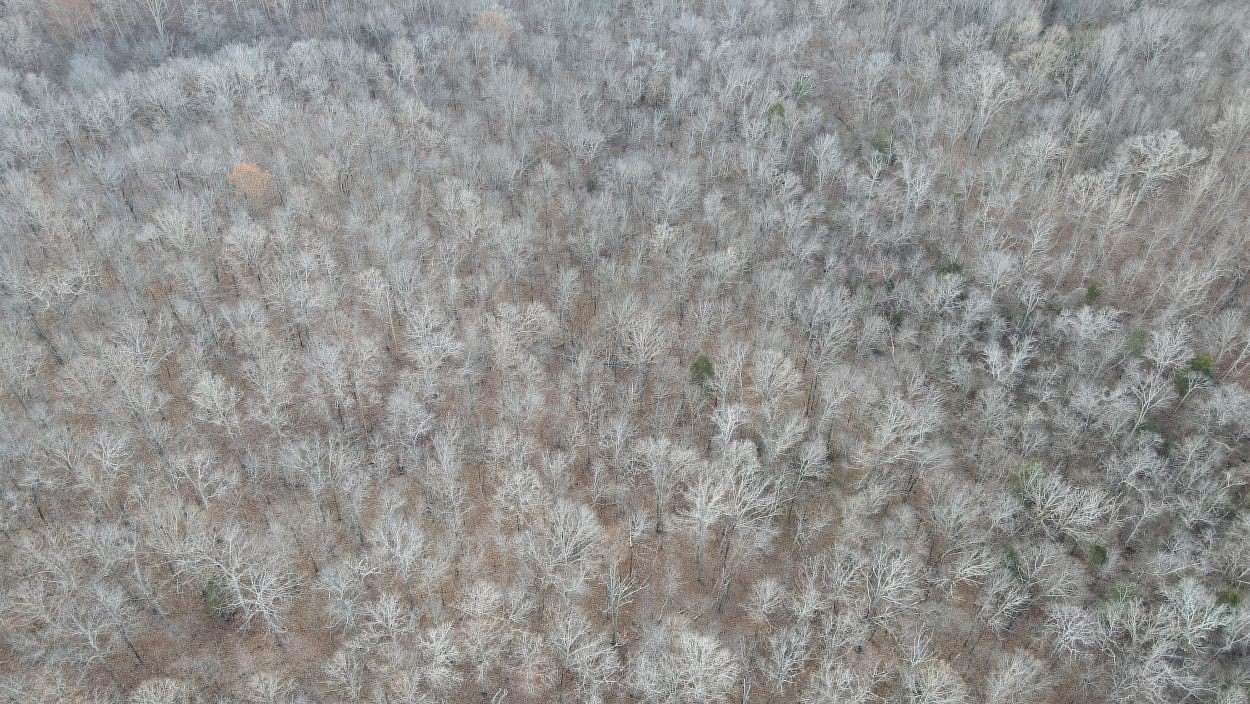 10.8 Acres of Recreational Land for Sale in Lost Creek Township, Missouri