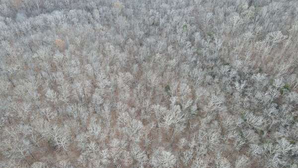 10.8 Acres of Recreational Land for Sale in Lost Creek Township, Missouri