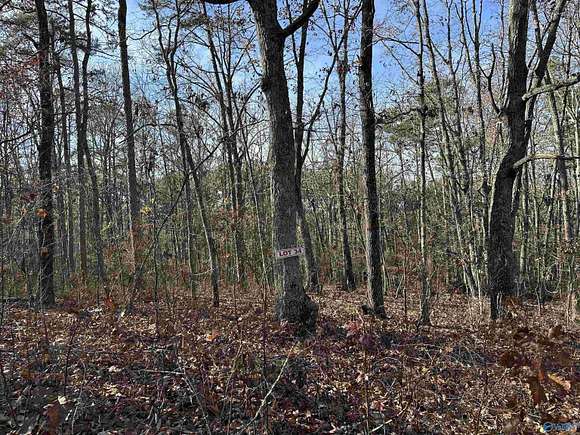 0.73 Acres of Residential Land for Sale in Scottsboro, Alabama