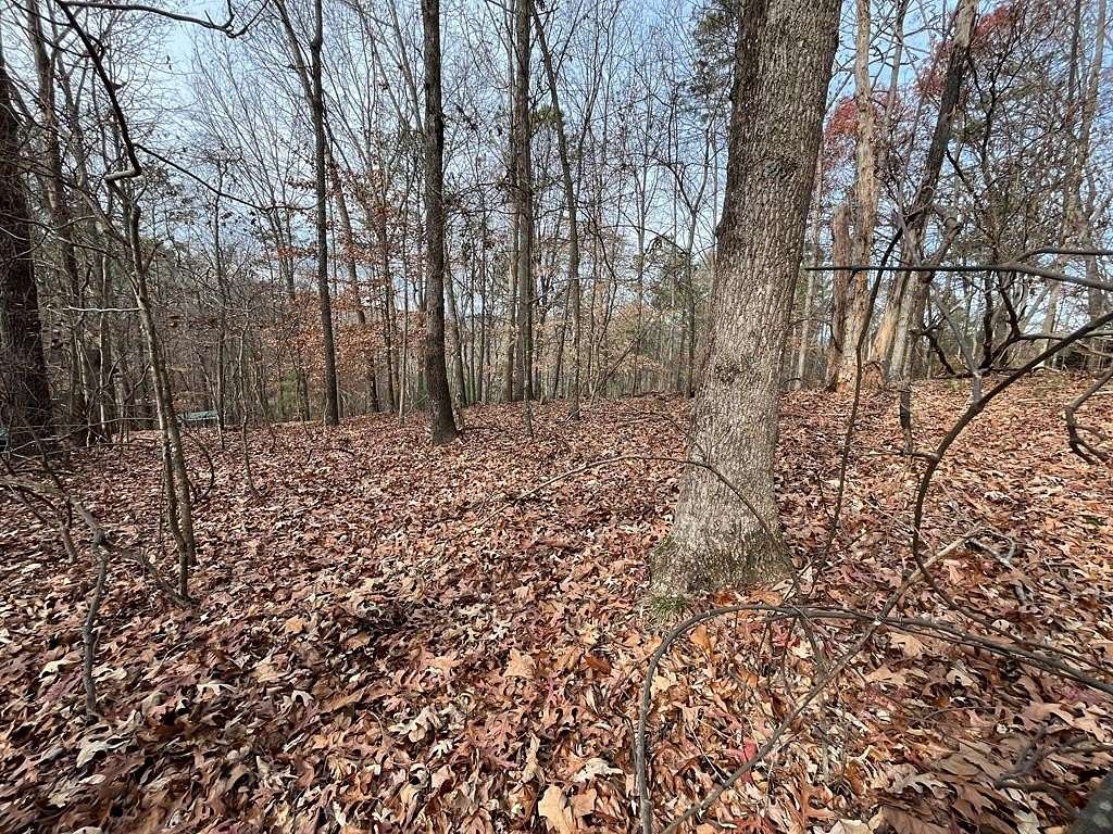 0.49 Acres of Residential Land for Sale in Ellijay, Georgia