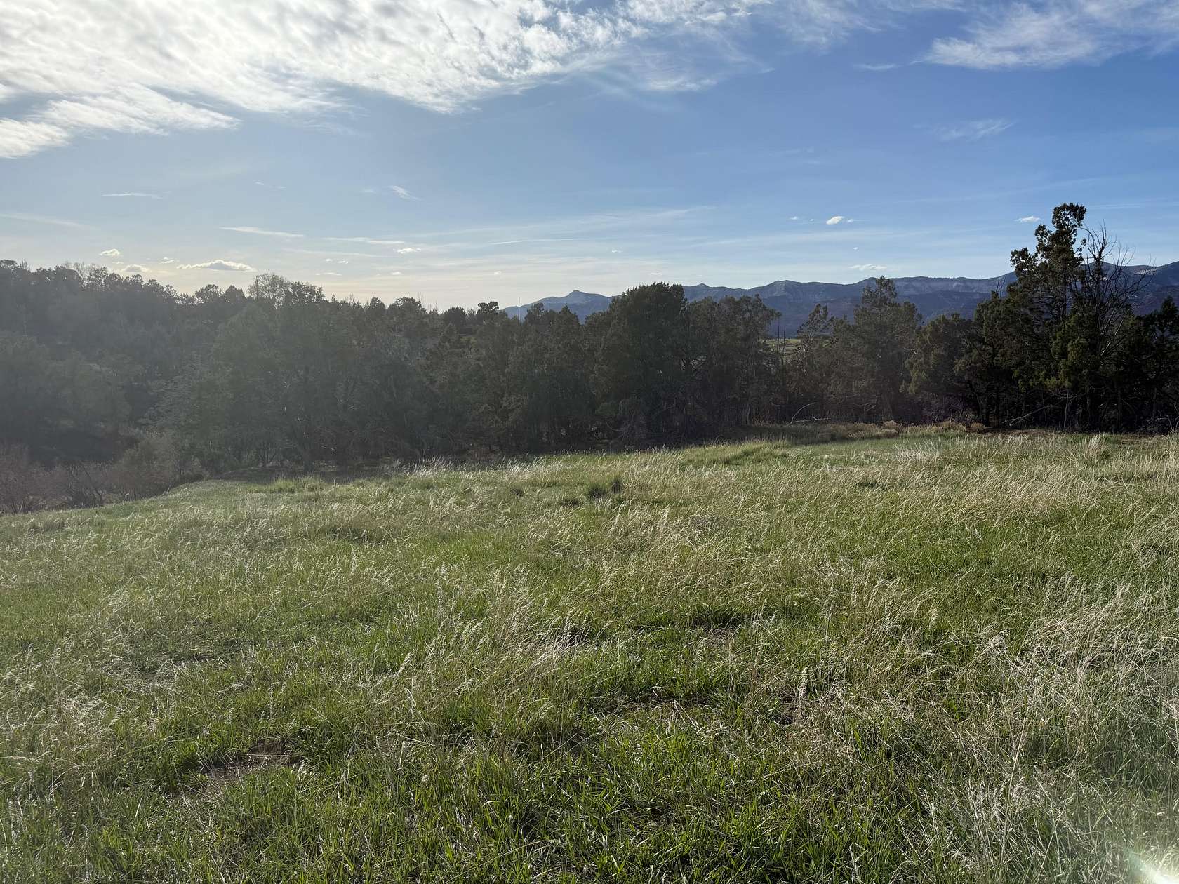 1.1 Acres of Residential Land for Sale in Collbran, Colorado