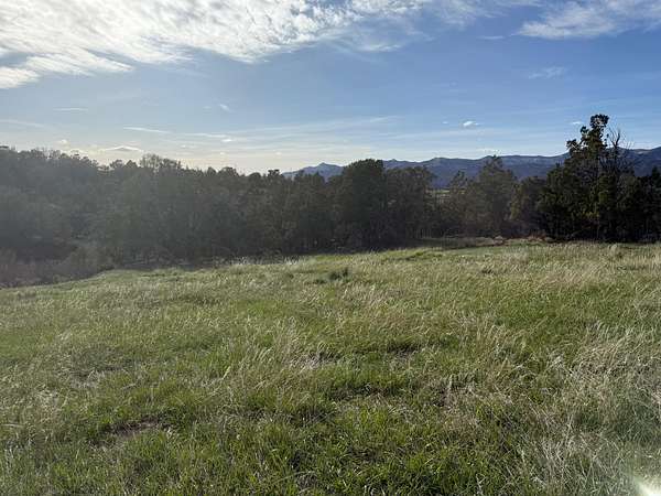 1.1 Acres of Residential Land for Sale in Collbran, Colorado