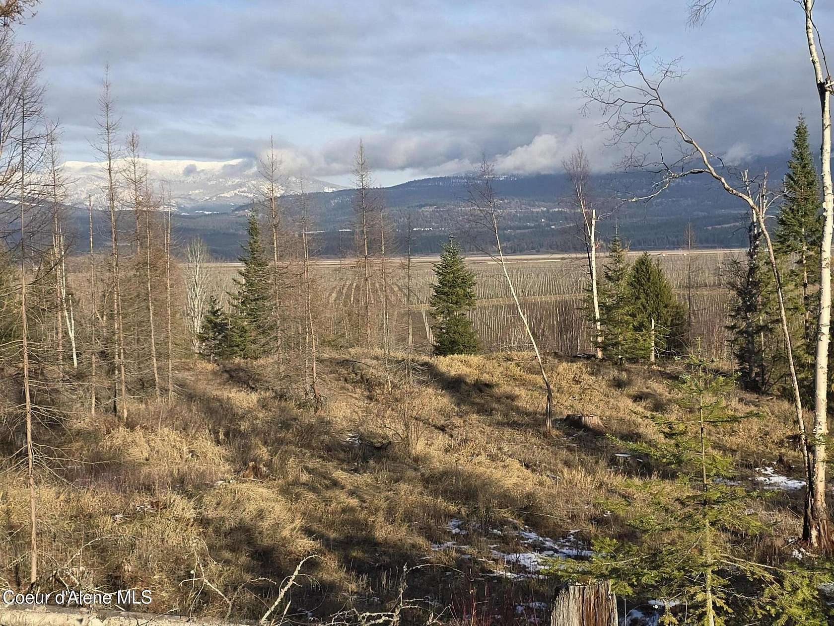 10.02 Acres of Land for Sale in Bonners Ferry, Idaho