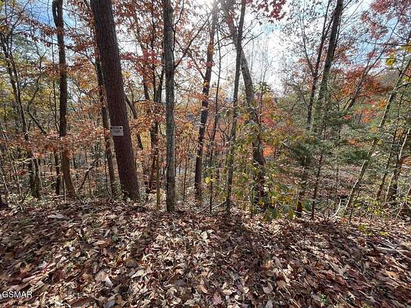 0.35 Acres of Residential Land for Sale in Pigeon Forge, Tennessee