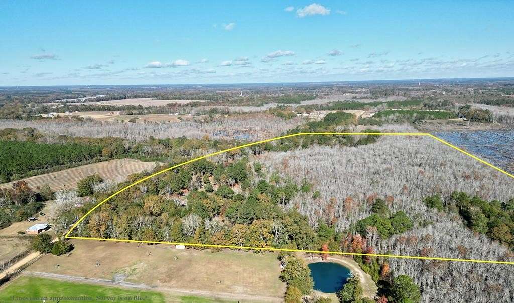 38.71 Acres of Recreational Land for Sale in Slocomb, Alabama