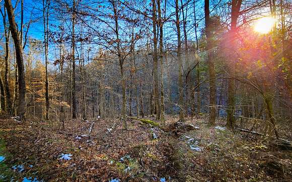 80 Acres of Recreational Land for Sale in Beattyville, Kentucky