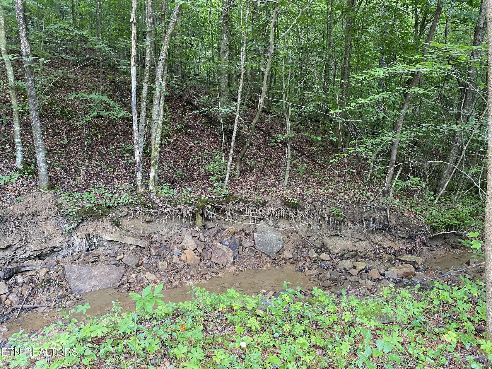 45.89 Acres of Land for Sale in Oneida, Tennessee