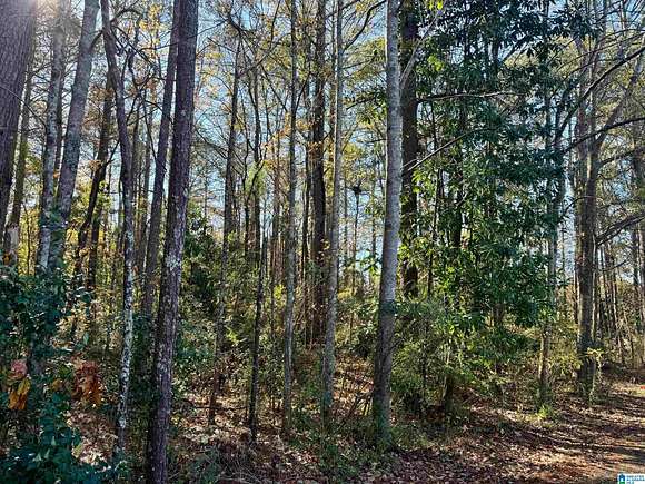 0.7 Acres of Land for Sale in Roanoke, Alabama