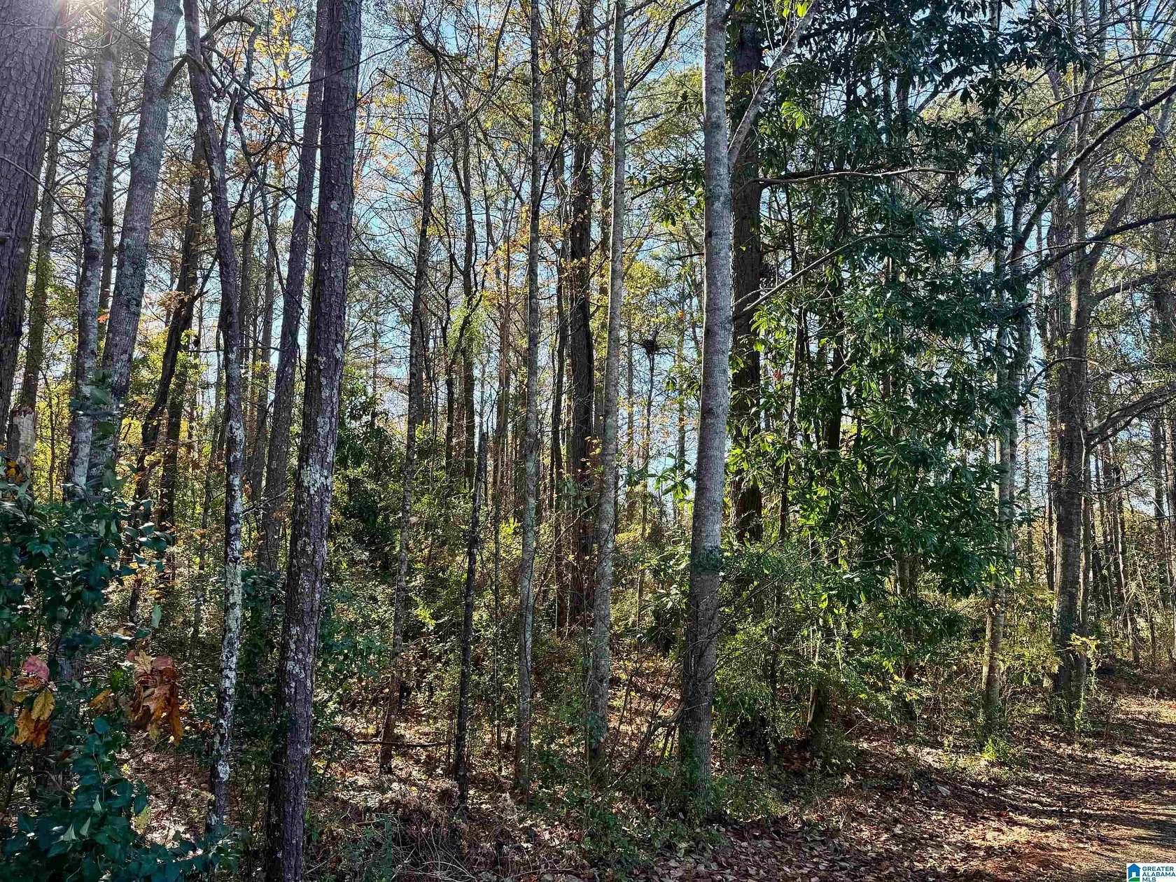 0.4 Acres of Land for Sale in Roanoke, Alabama