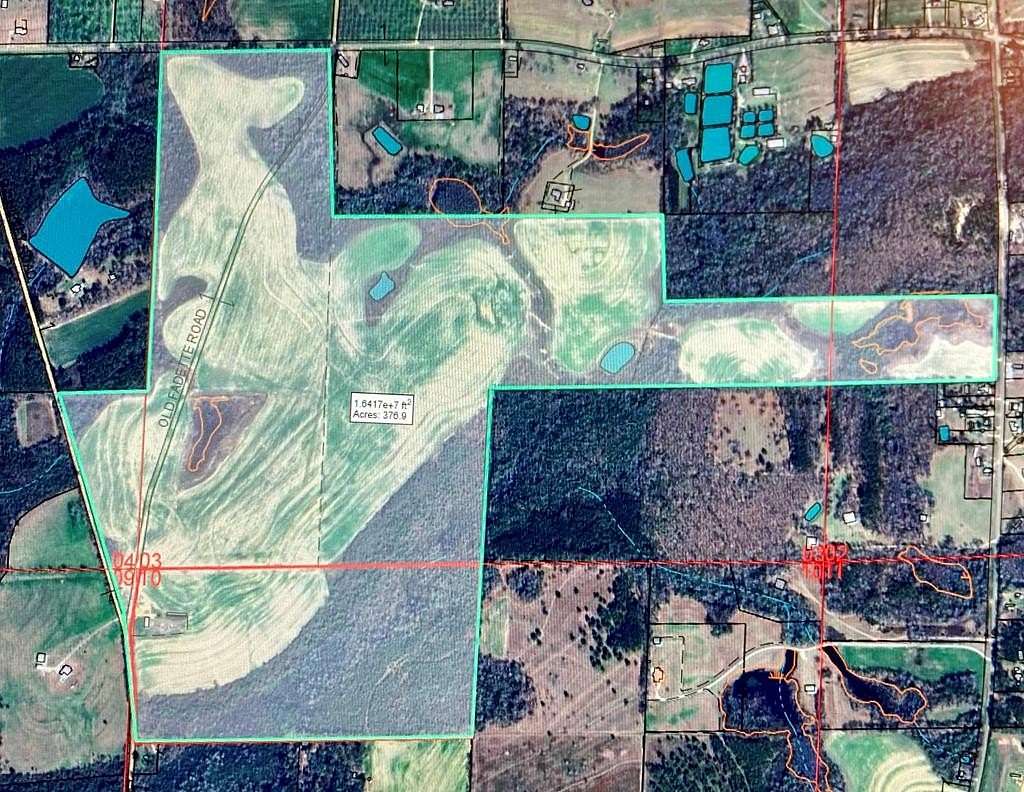 376 Acres of Agricultural Land for Sale in Slocomb, Alabama