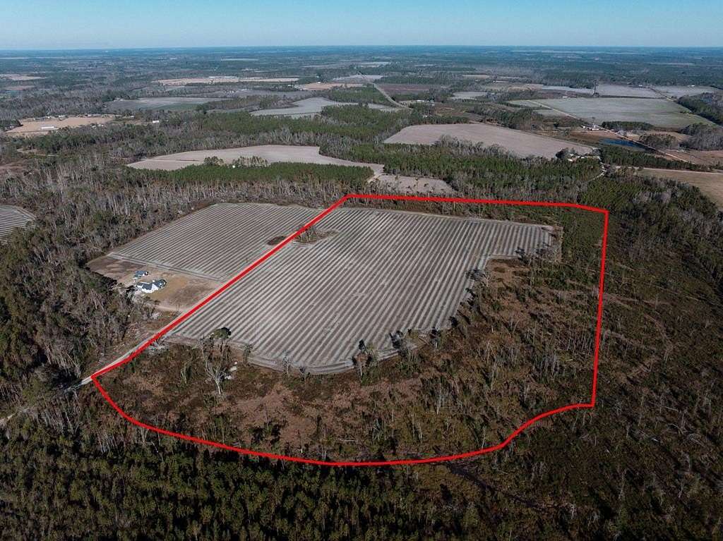 68.31 Acres of Land for Sale in Alma, Georgia