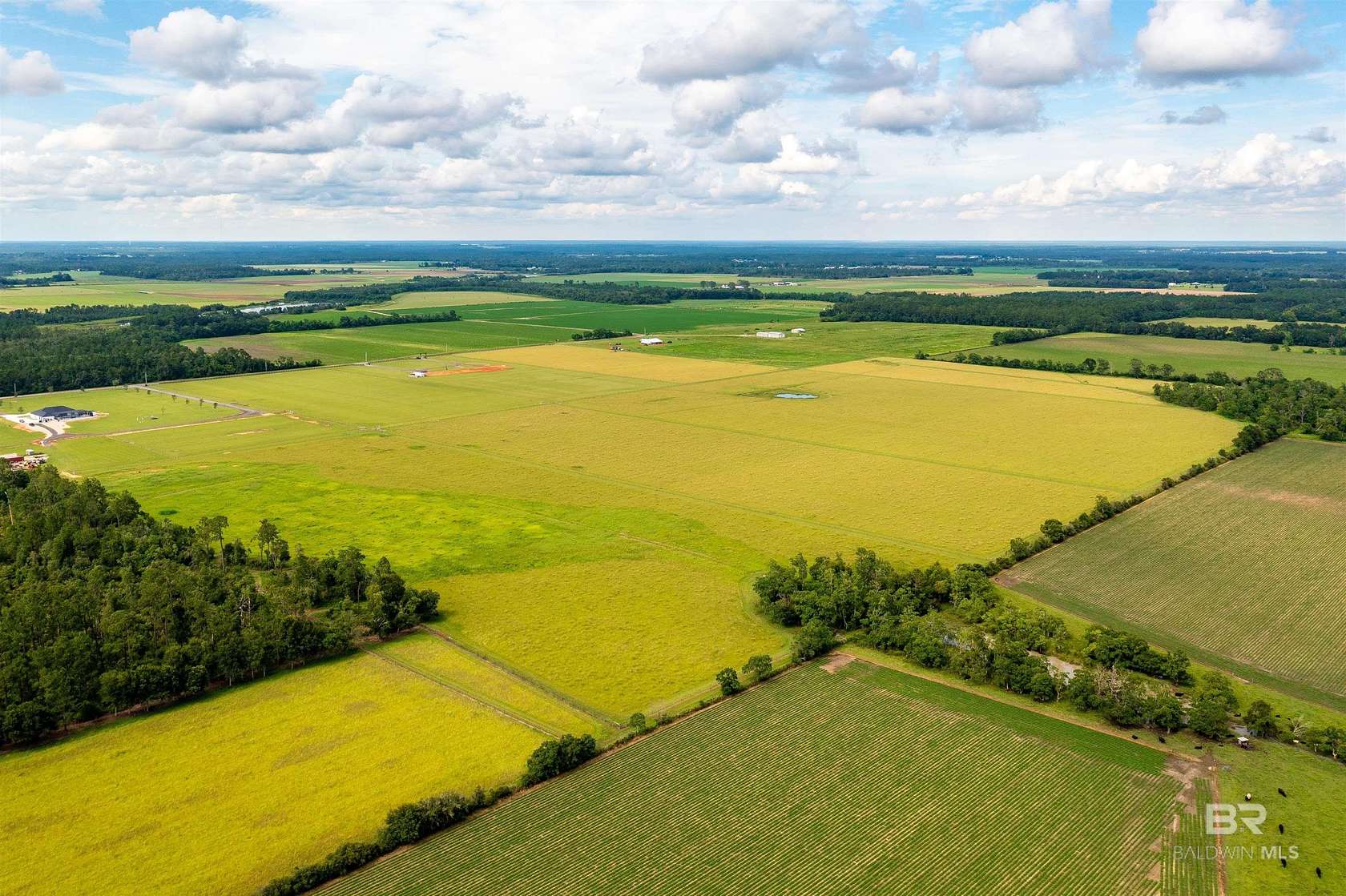 93 Acres of Agricultural Land for Sale in Foley, Alabama