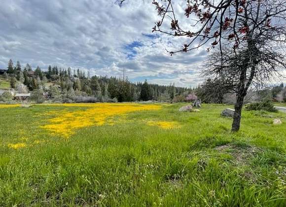 0.19 Acres of Residential Land for Sale in Murphys, California