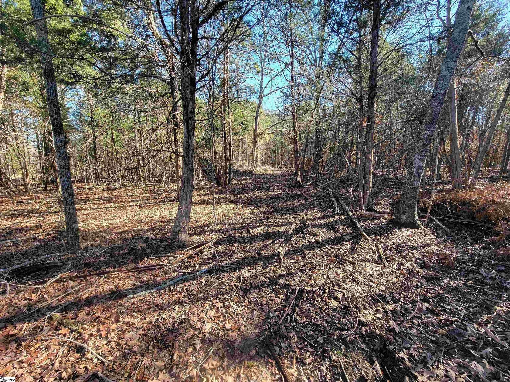 8 Acres of Land for Sale in Pauline, South Carolina