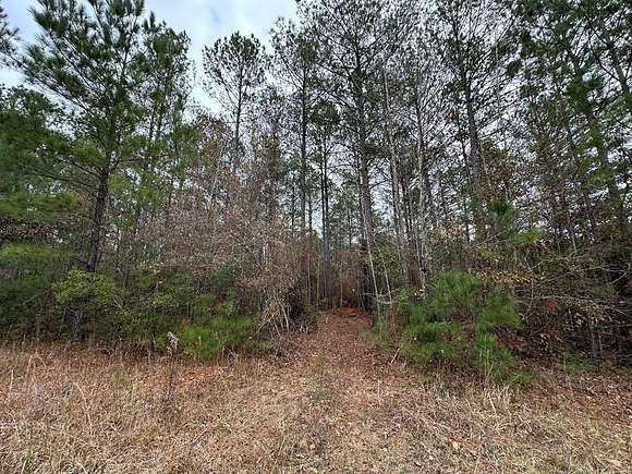 2.34 Acres of Residential Land with Home for Sale in Hamilton, Georgia