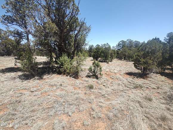 1.01 Acres of Residential Land for Sale in Overgaard, Arizona