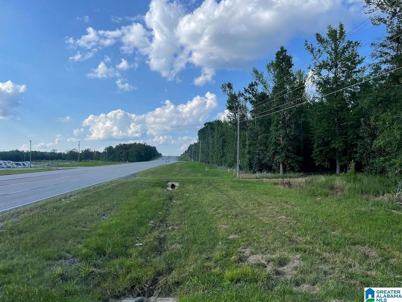 25 Acres of Mixed-Use Land for Sale in Winfield, Alabama