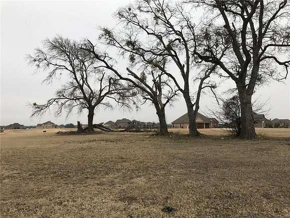 0.35 Acres of Residential Land for Sale in Gunter, Texas