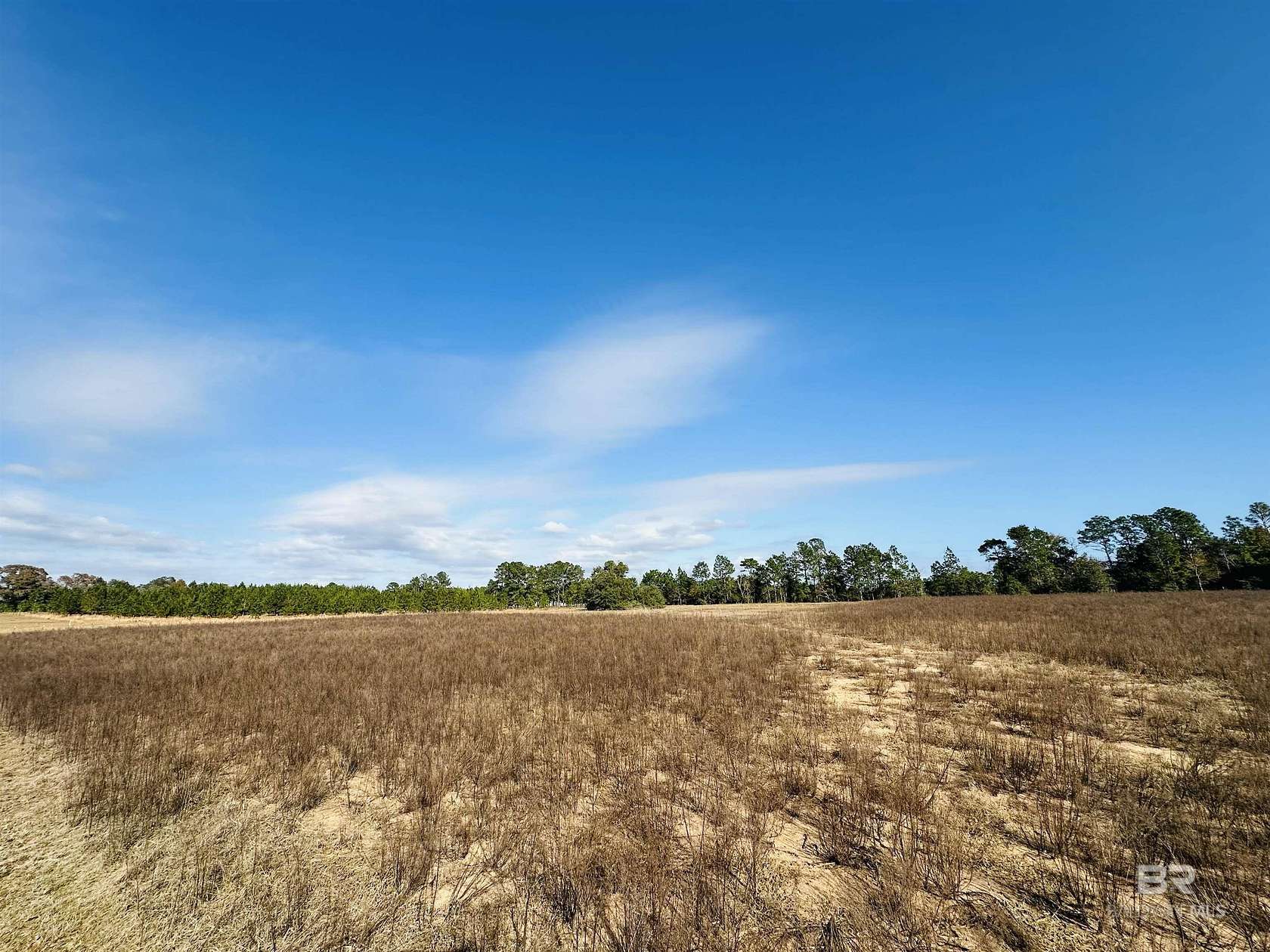 7.294 Acres of Residential Land for Sale in Robertsdale, Alabama