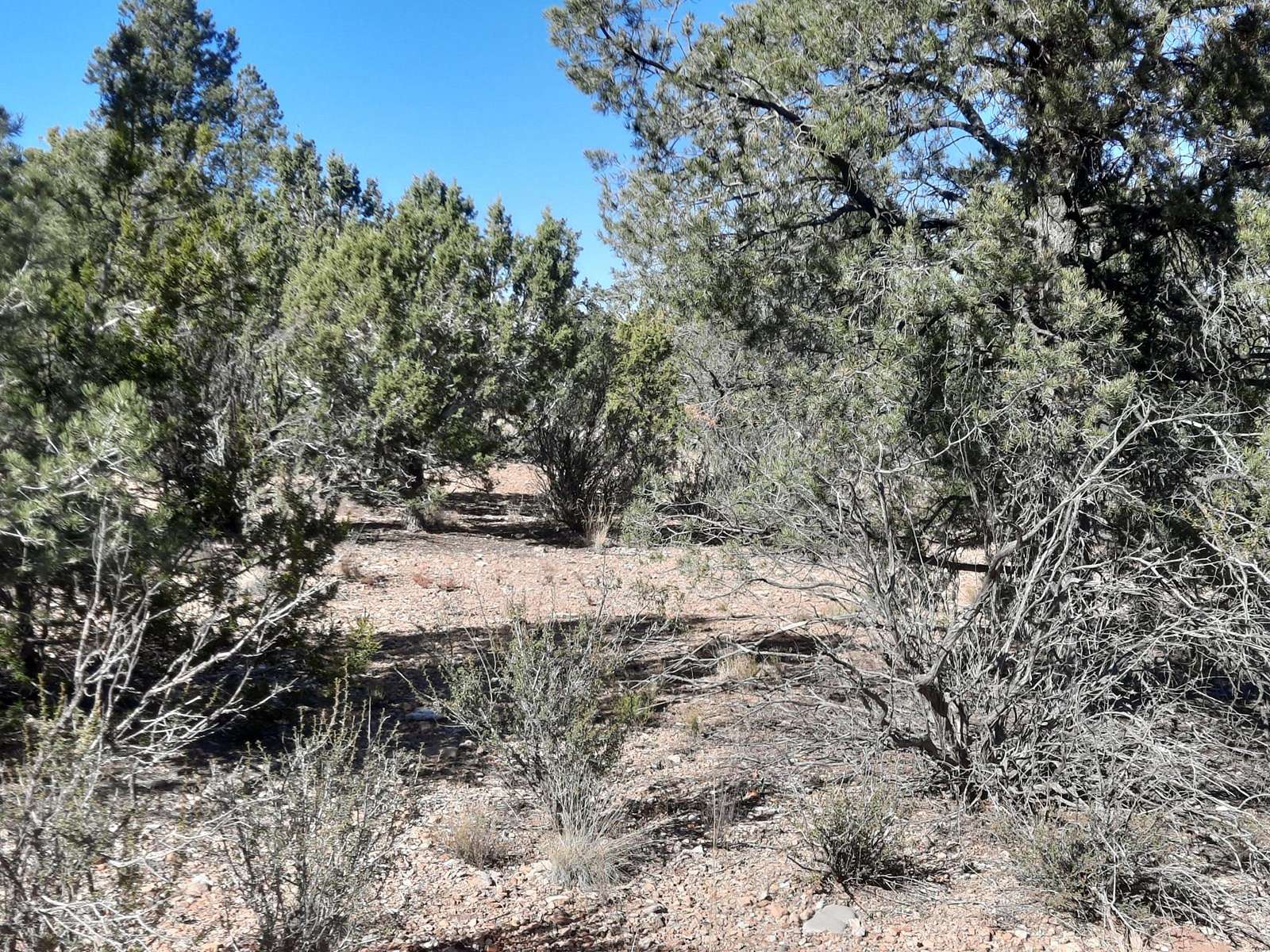 1.22 Acres of Land for Sale in Seligman, Arizona