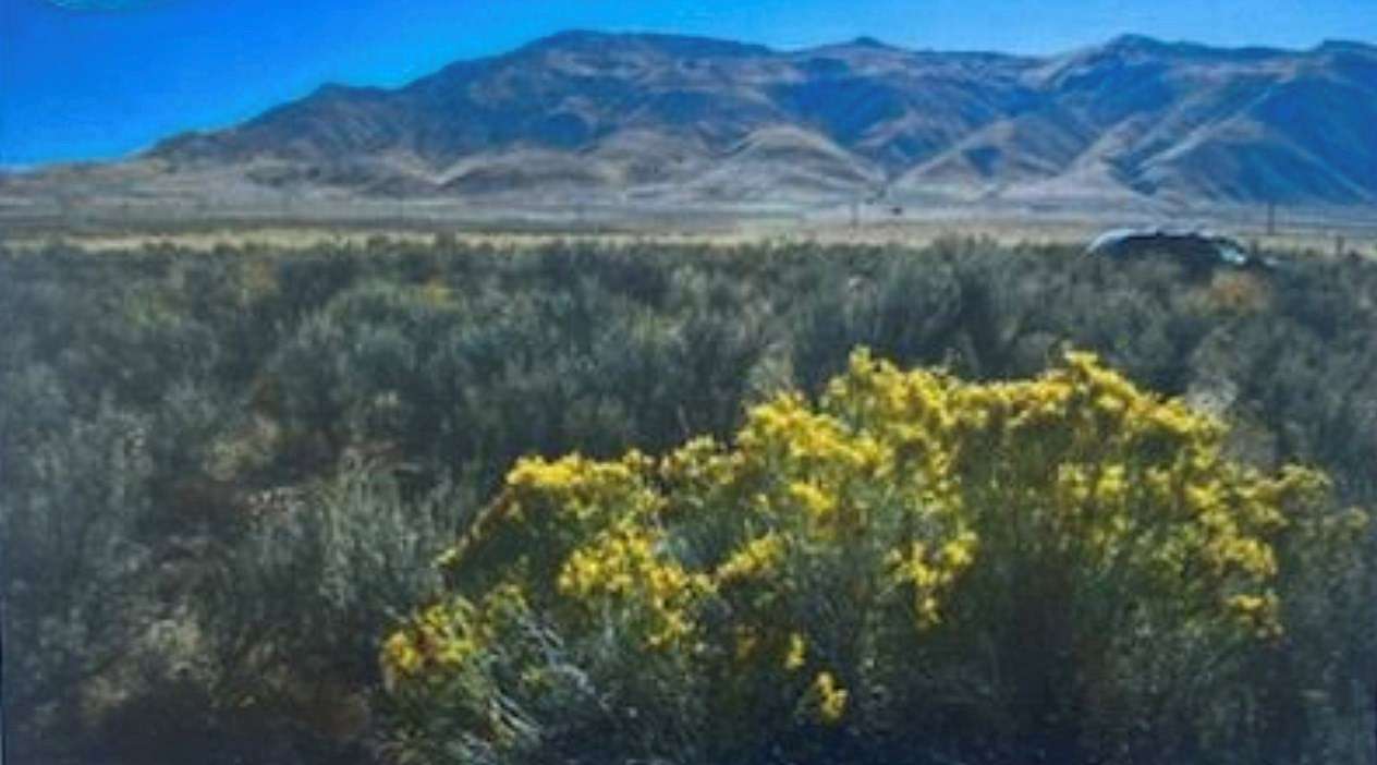 10.07 Acres of Land for Sale in Reno, Nevada