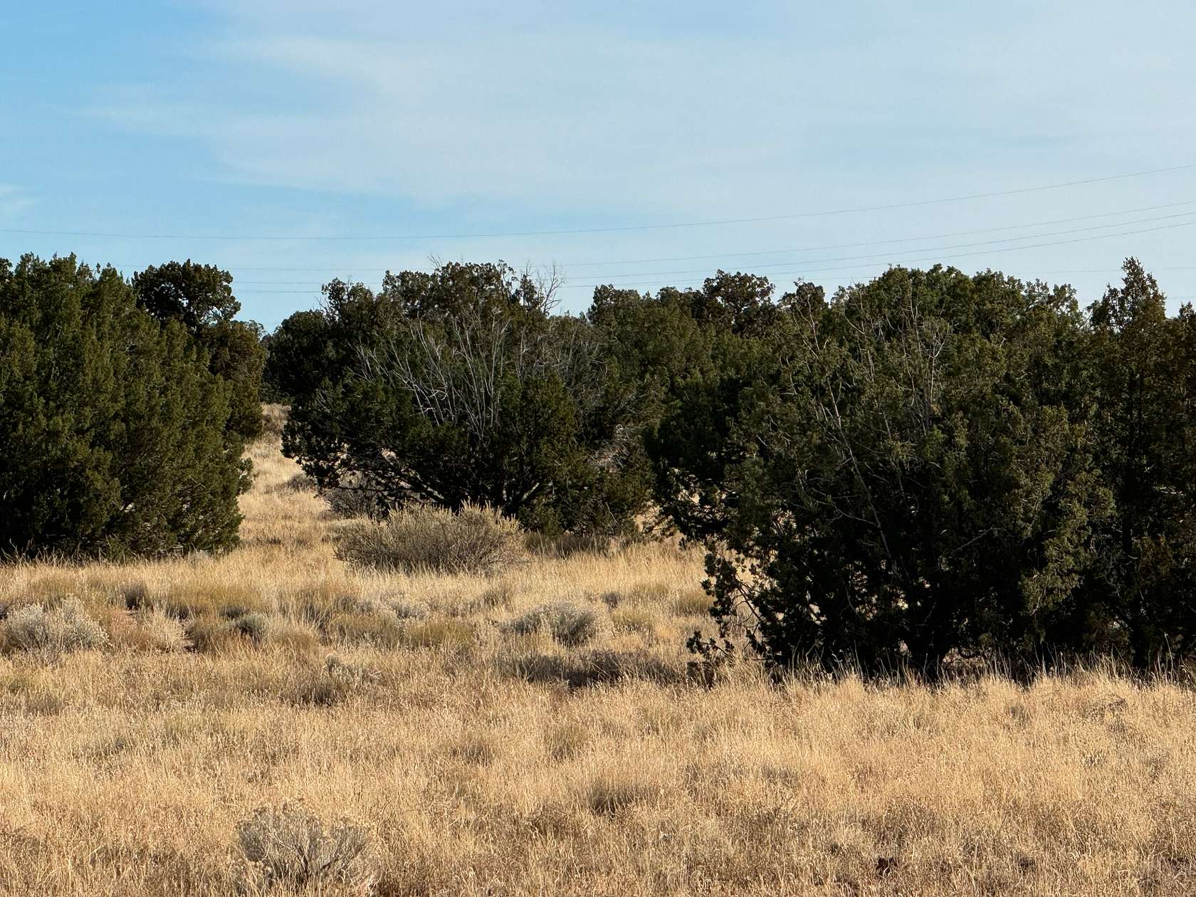 0.69 Acres of Residential Land for Sale in Concho, Arizona