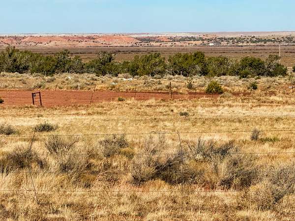 0.69 Acres of Residential Land for Sale in Concho, Arizona