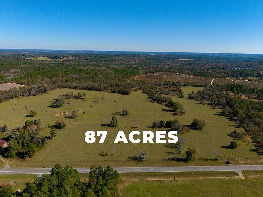 87 Acres of Recreational Land & Farm for Sale in Mauk, Georgia