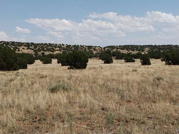 1.05 Acres of Residential Land for Sale in Concho, Arizona