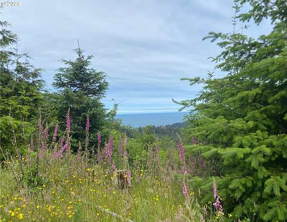 160 Acres of Land for Sale in Manzanita, Oregon