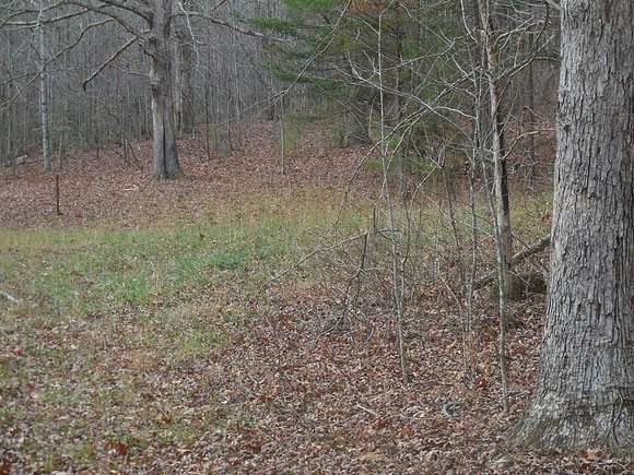 27.06 Acres of Land for Sale in Crawford, Tennessee