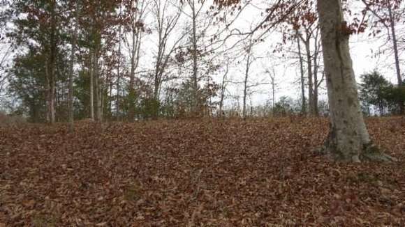 2.5 Acres of Residential Land for Sale in Hilham, Tennessee