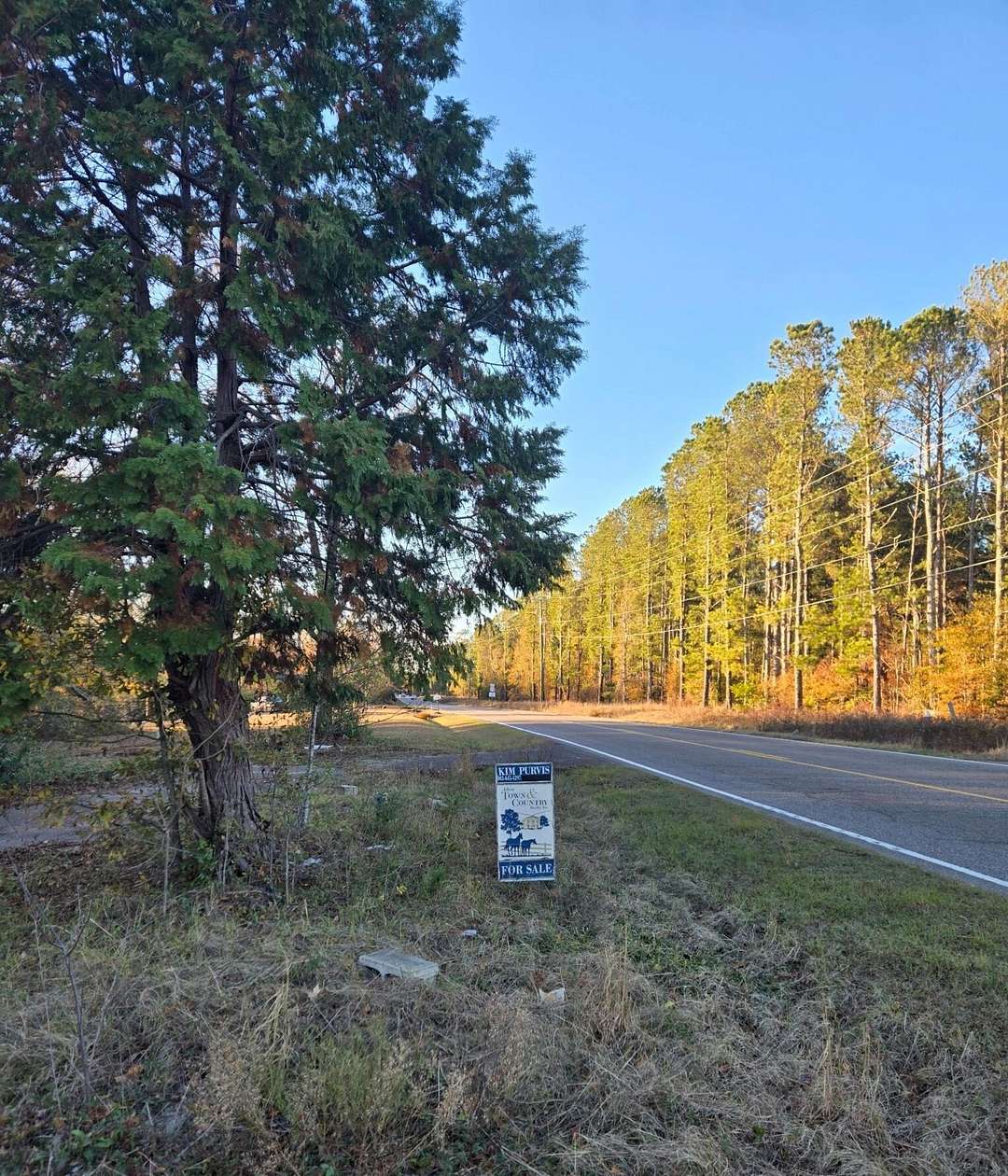 2.66 Acres of Residential Land for Sale in Trenton, South Carolina