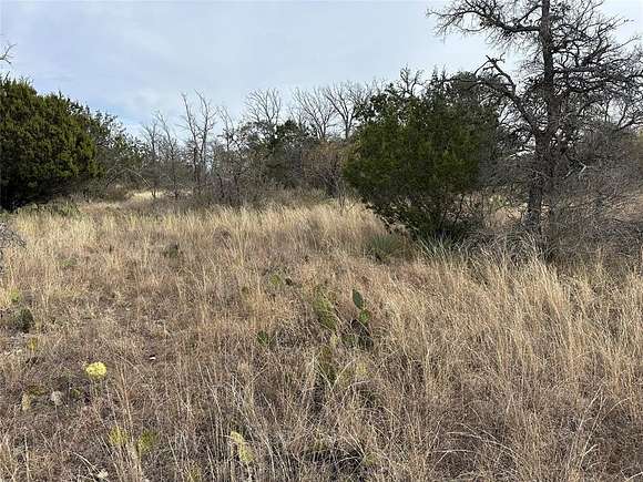 0.482 Acres of Land for Sale in Brownwood, Texas