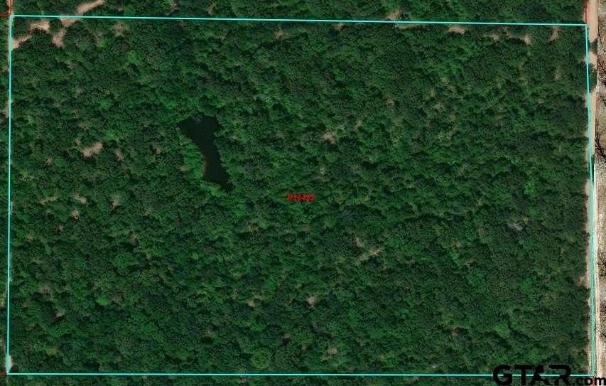 31 Acres of Recreational Land for Sale in Grand Saline, Texas