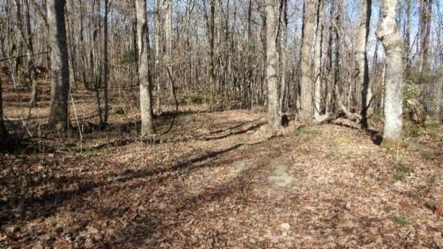 159.23 Acres of Recreational Land for Sale in Jamestown, Tennessee