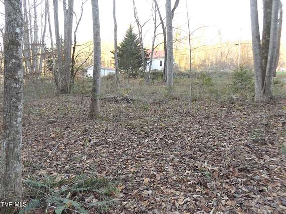 4.11 Acres of Residential Land with Home for Sale in Elizabethton, Tennessee