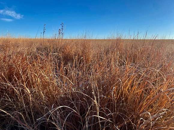 320 Acres of Recreational Land & Farm for Sale in Coolidge, Kansas