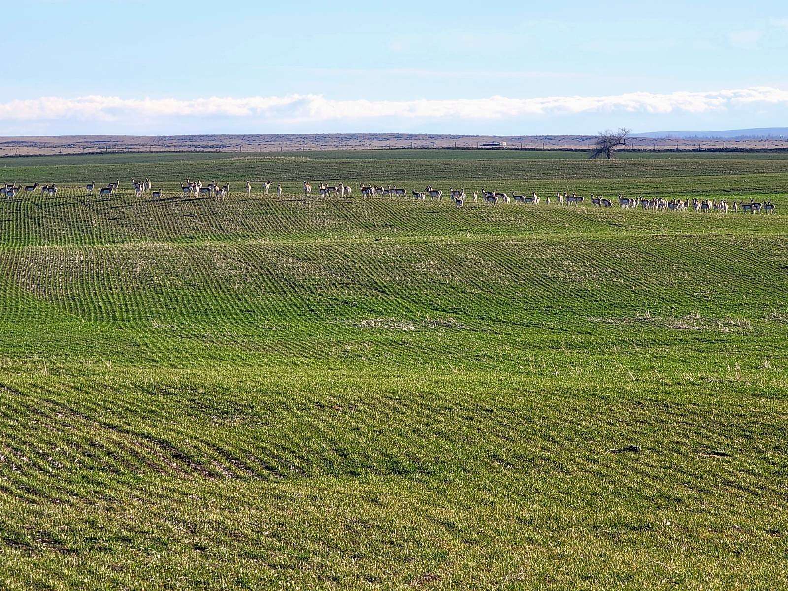 343.5 Acres of Recreational Land & Farm for Sale in Bennett, Colorado