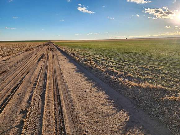 160 Acres of Agricultural Land for Sale in Haxtun, Colorado