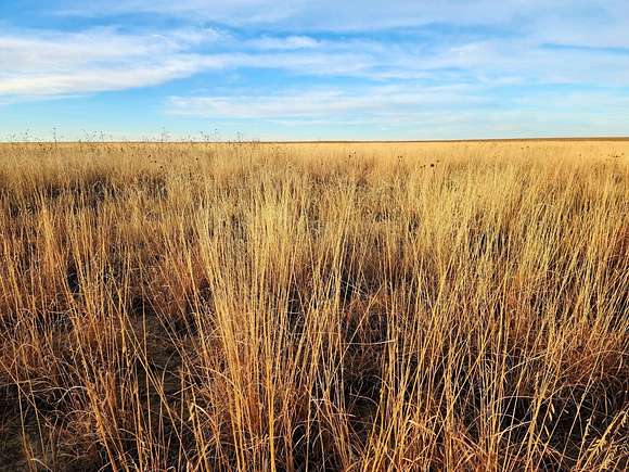 320 Acres of Recreational Land & Farm for Sale in Eads, Colorado