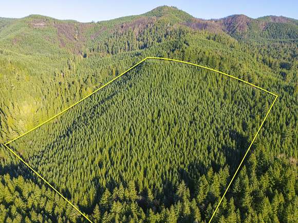 40 Acres of Recreational Land for Sale in Dorena, Oregon