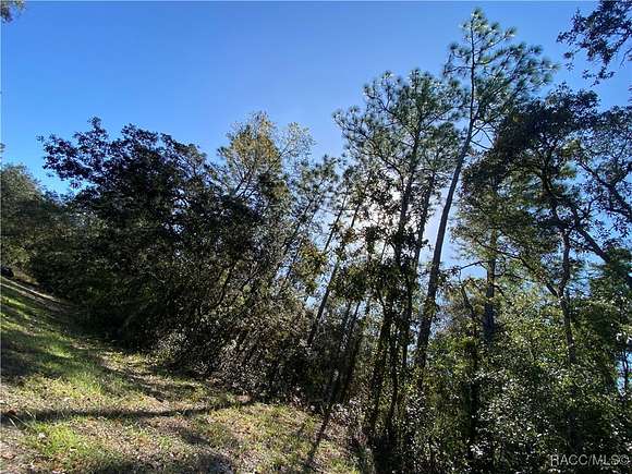 2.16 Acres of Residential Land for Sale in Homosassa, Florida